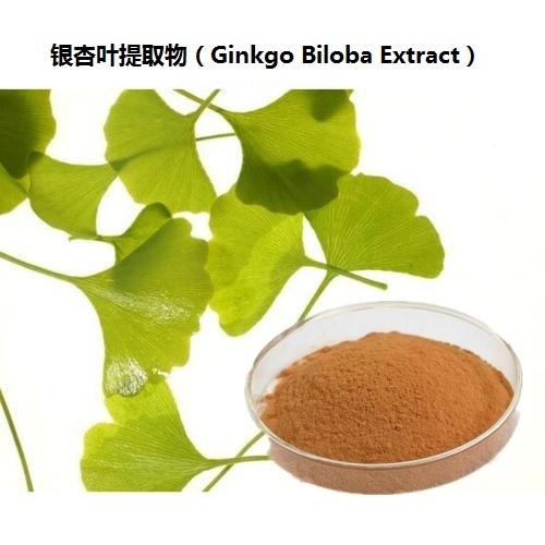 Ginkgo biloba extract